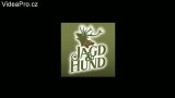 Výstava Jagd und Hund 2014, Dortmund - Německo - video